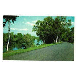 Greetings Hastings Ontario Canada Postcard Scenic Birch Trees River Road Nature